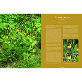 Die Orchideen Europas, Nordafrikas und Vorderasiens (5-Volume Set)