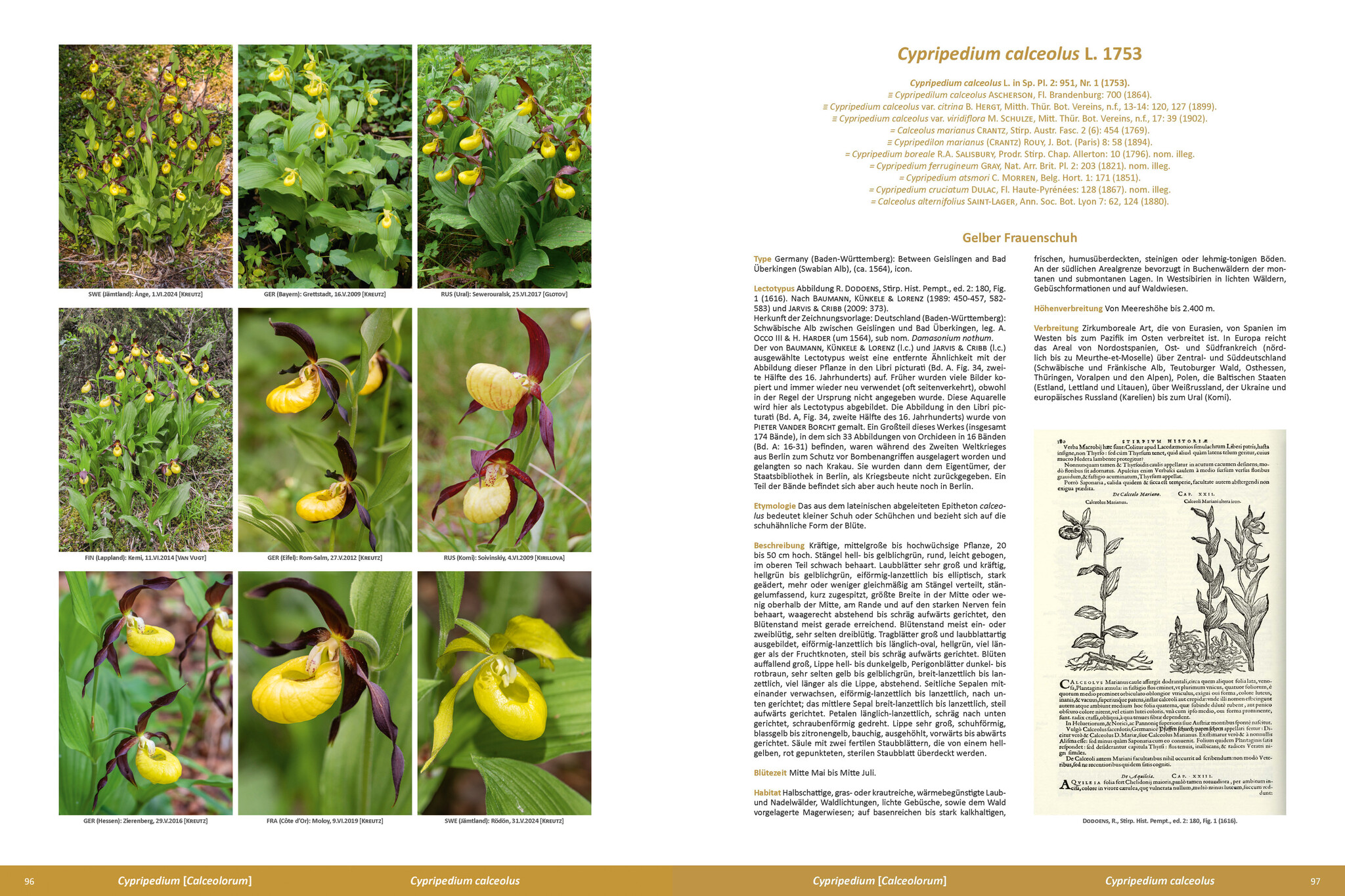 Die Orchideen Europas, Nordafrikas und Vorderasiens (5-Volume Set)