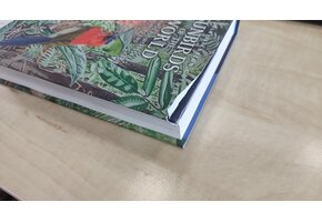 Beschadigd exemplaar – Sunbirds of the World