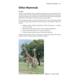 Dangerous Animals & Outdoor Hazards in Africa - Assessing Risk, Managing Human–Wildlife Conflict and Responding to Life-Threatening Situations in Remote Locations