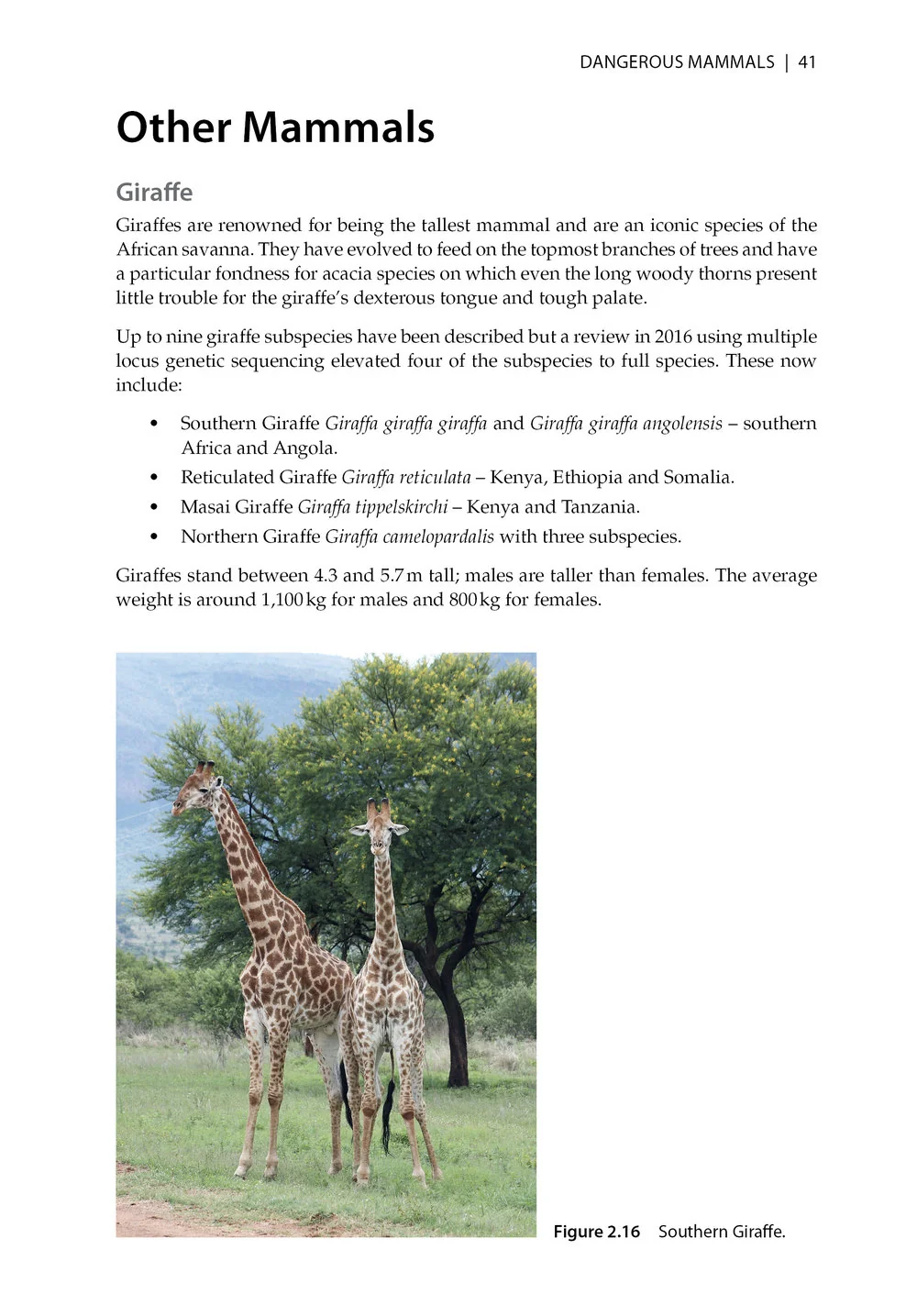 Dangerous Animals & Outdoor Hazards in Africa - Assessing Risk, Managing Human–Wildlife Conflict and Responding to Life-Threatening Situations in Remote Locations