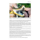 Dangerous Animals & Outdoor Hazards in Africa - Assessing Risk, Managing Human–Wildlife Conflict and Responding to Life-Threatening Situations in Remote Locations