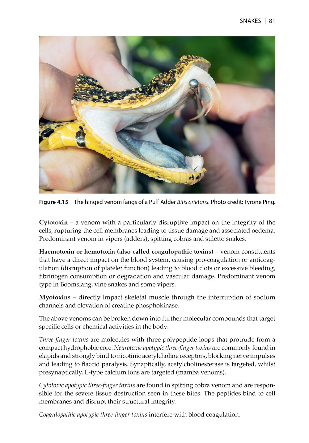 Dangerous Animals & Outdoor Hazards in Africa - Assessing Risk, Managing Human–Wildlife Conflict and Responding to Life-Threatening Situations in Remote Locations