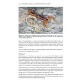 Dangerous Animals & Outdoor Hazards in Africa - Assessing Risk, Managing Human–Wildlife Conflict and Responding to Life-Threatening Situations in Remote Locations
