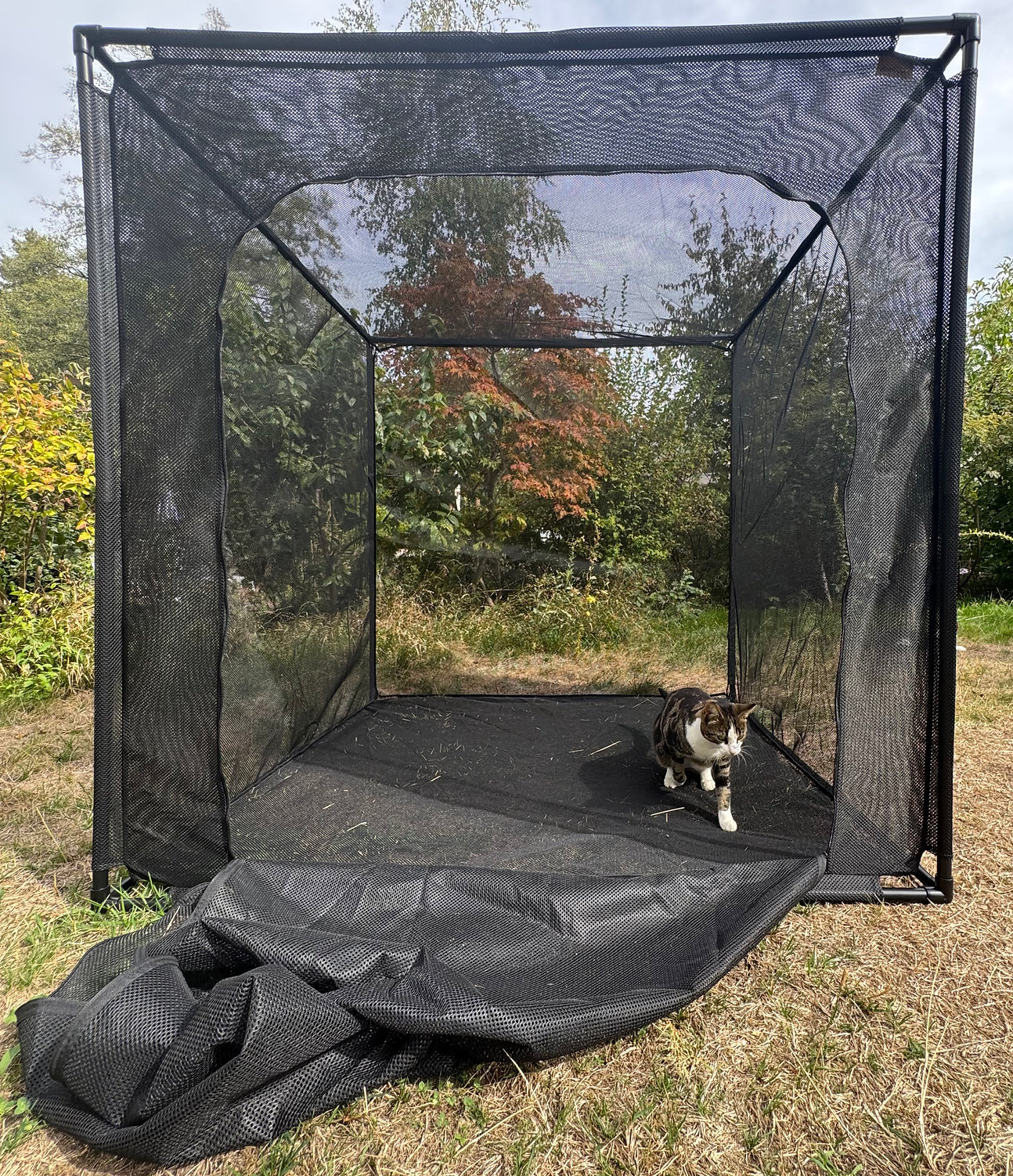 Aerarium BFCM Vleermuisvliegkooi