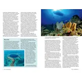 Marine Life of the Caribbean