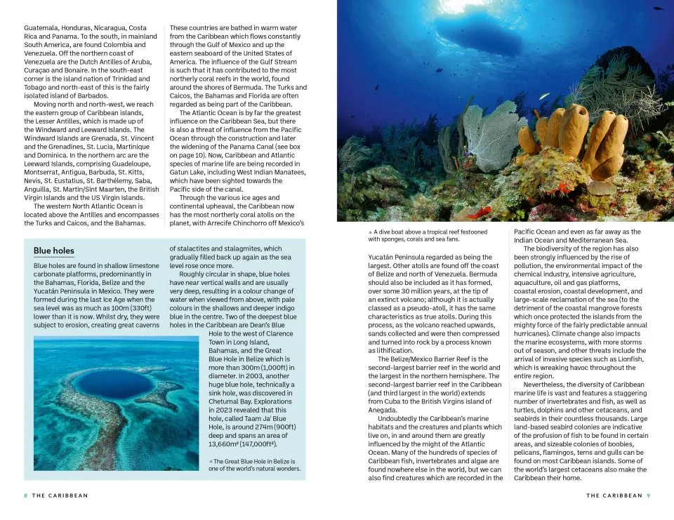 Marine Life of the Caribbean