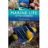 Marine Life of the Caribbean