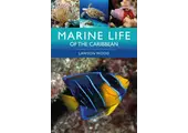 Marine Life of the Caribbean