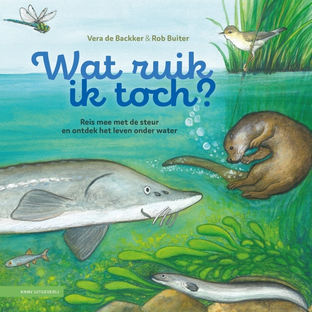 Wat ruik ik toch? Reis mee met de steur en ontdek het leven onder water