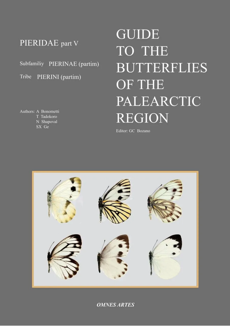 Guide to the Butterflies of the Palearctic Region - Pieridae part V