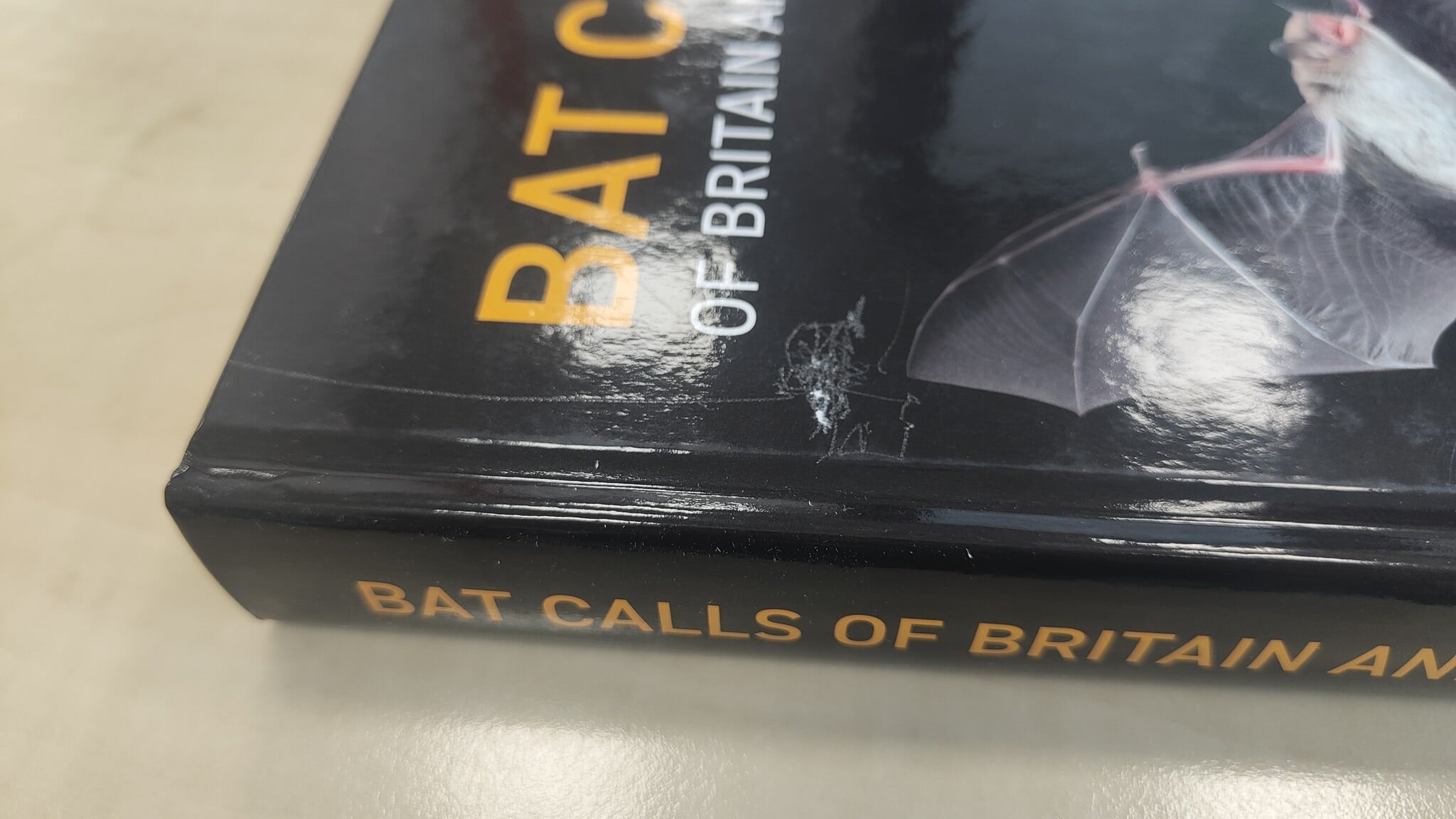 Damaged copy – Bat Calls of Britain and Europe - A Guide to Species Identification