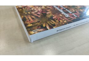 Beschadigd exemplaar – Sphagnum Mosses