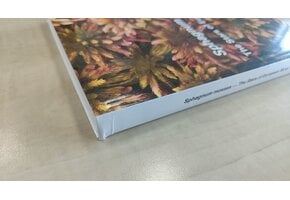 Beschädigte Kopie – Sphagnum Mosses