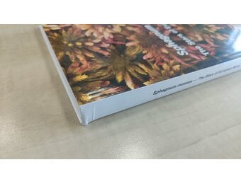 Damaged copy – Sphagnum Mosses