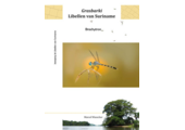 Grasbarki Libellen van Suriname