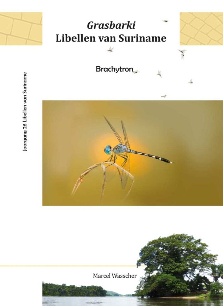 Grasbarki Libellen van Suriname