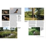 Bescherming van Biodiversiteit  in de praktijk - Kansen en bedreigingen