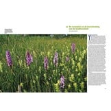 Bescherming van Biodiversiteit  in de praktijk - Kansen en bedreigingen