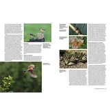 Bescherming van Biodiversiteit  in de praktijk - Kansen en bedreigingen