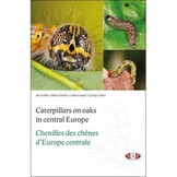 Caterpillars on oaks in central Europe