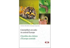 Caterpillars on oaks in central Europe