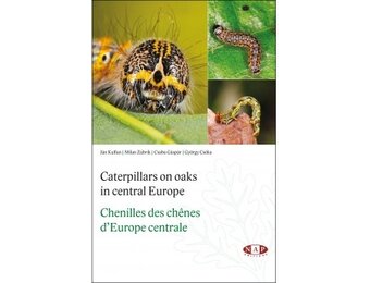 Caterpillars on oaks in central Europe