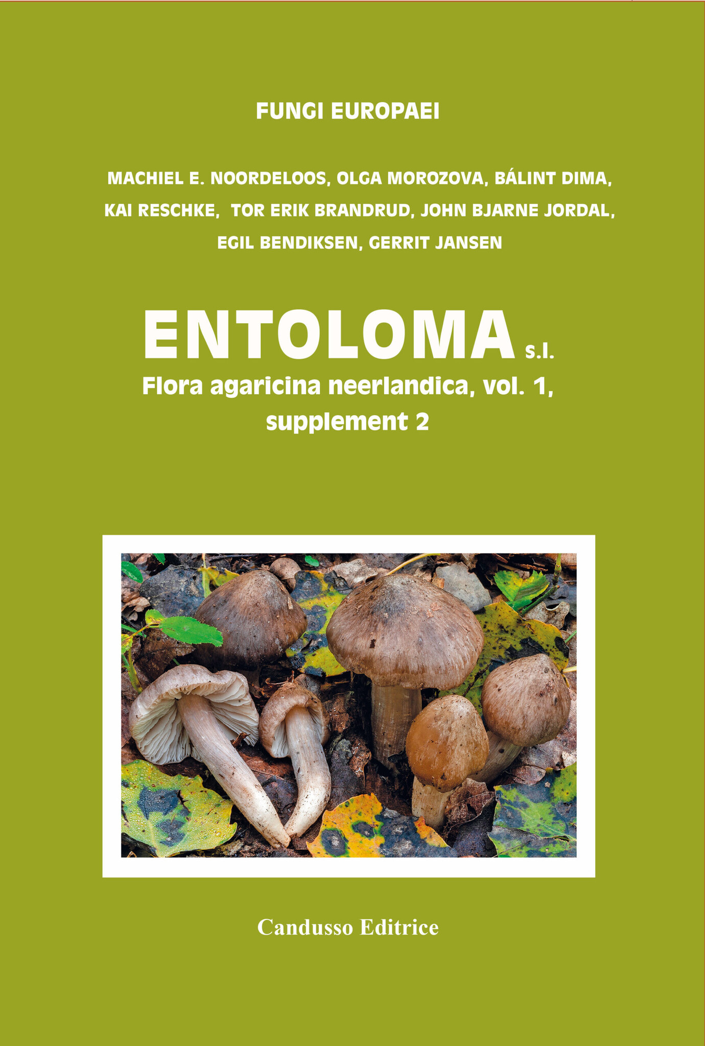 Flora Agaricina Neerlandica, Volume 1, supplement / Fungi Europaei, Volume 5C - Entolomo s.l.