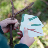 Huckleberry Speurtocht