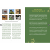 De natuurpositieve stad - Ruim baan voor stadsnatuur en volop biodiversiteit