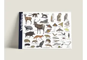 Herkenningskaart Nachtdieren
