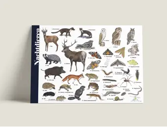 Herkenningskaart Nachtdieren