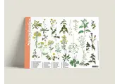 Identification Card Street plants