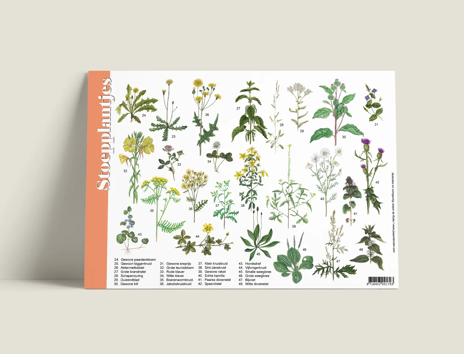 Identification Card Street plants