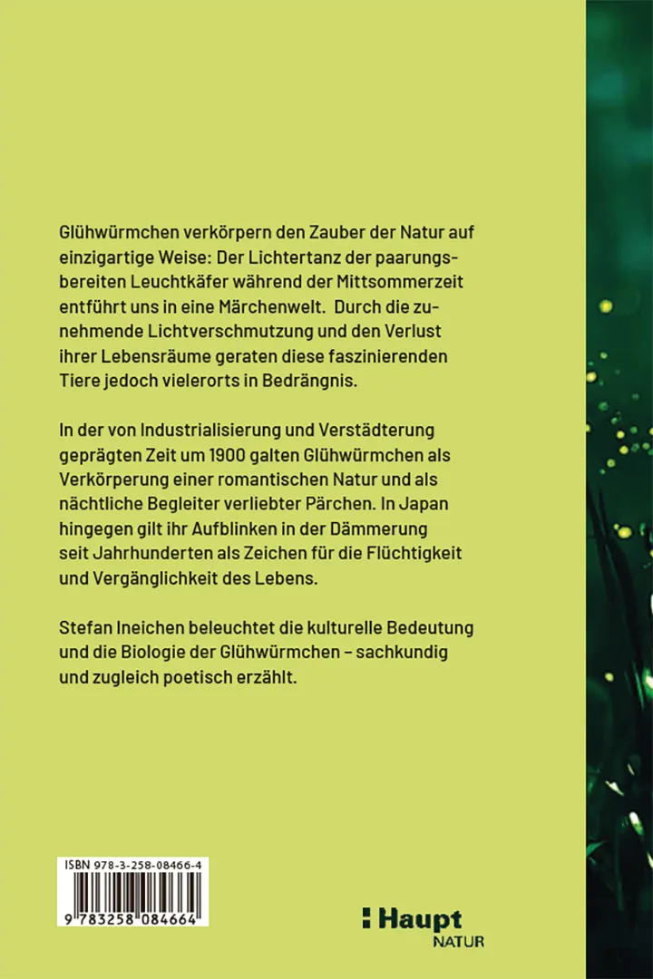 Glühwürmchen - Geheimnisvolle Leuchtwesen der Nacht
