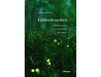 Glühwürmchen