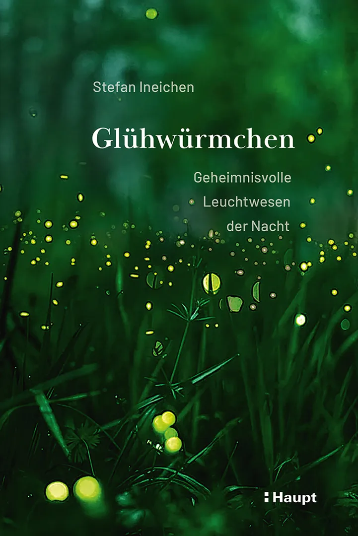 Glühwürmchen - Geheimnisvolle Leuchtwesen der Nacht