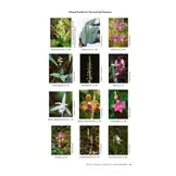 Native Orchids of the United States and Canada - A Field Guide