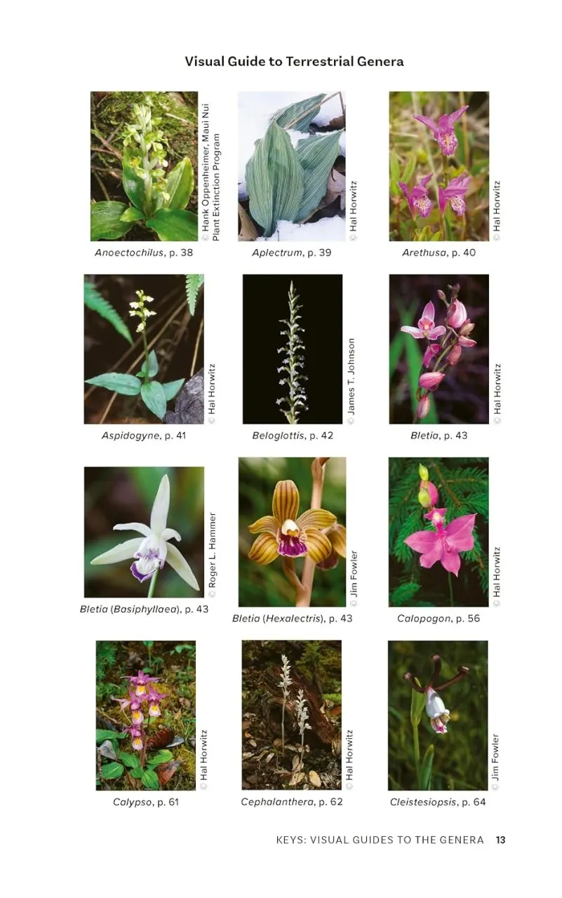 Native Orchids of the United States and Canada - A Field Guide