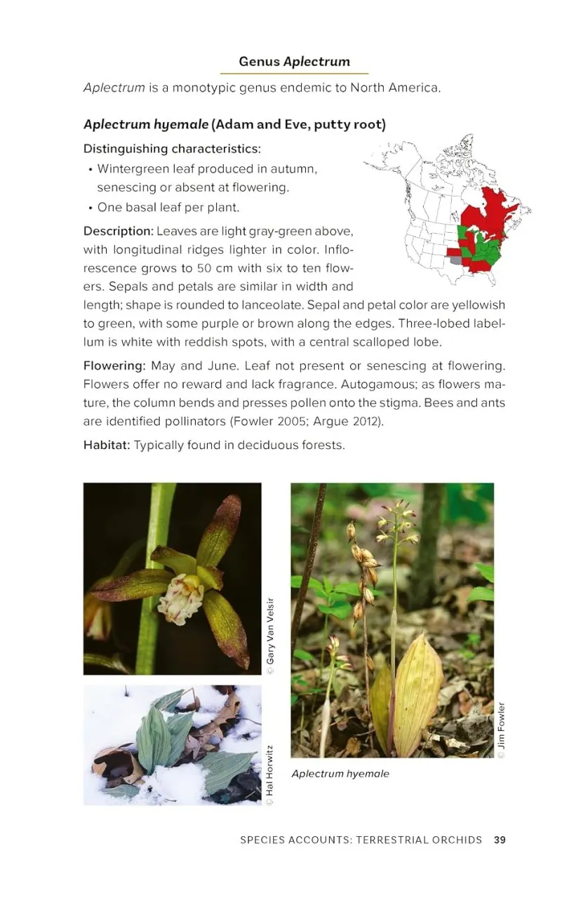 Native Orchids of the United States and Canada - A Field Guide