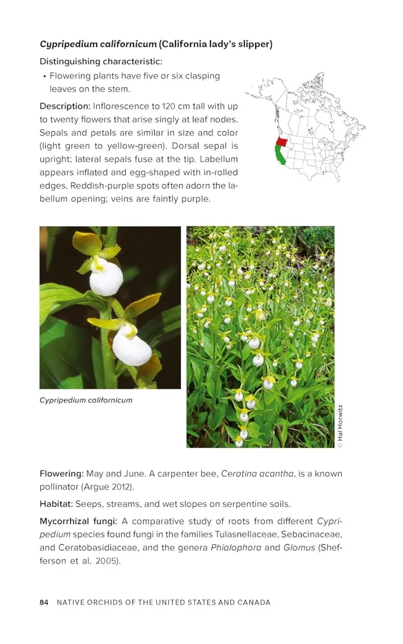 Native Orchids of the United States and Canada - A Field Guide