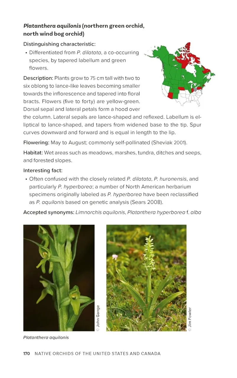 Native Orchids of the United States and Canada - A Field Guide