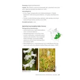 Native Orchids of the United States and Canada - A Field Guide