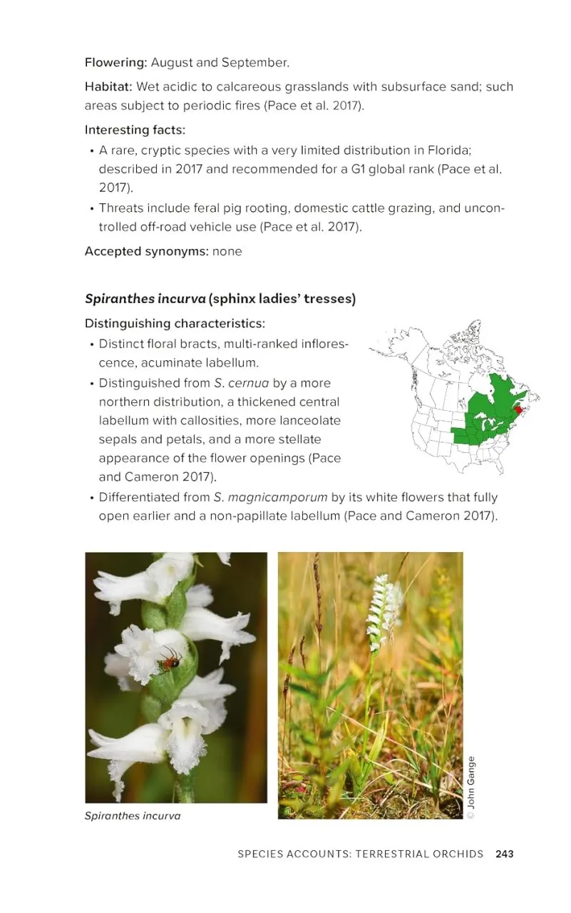 Native Orchids of the United States and Canada - A Field Guide