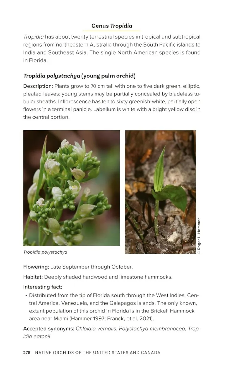 Native Orchids of the United States and Canada - A Field Guide