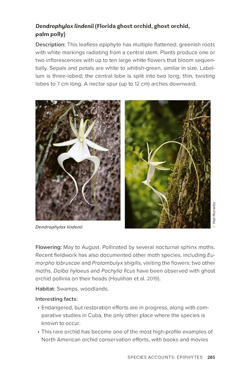 Native Orchids of the United States and Canada - A Field Guide