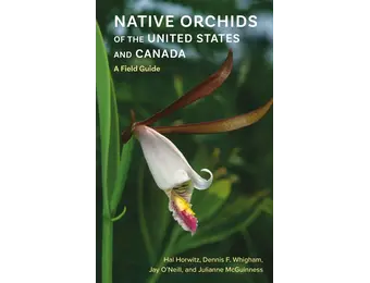Native Orchids of the United States and Canada