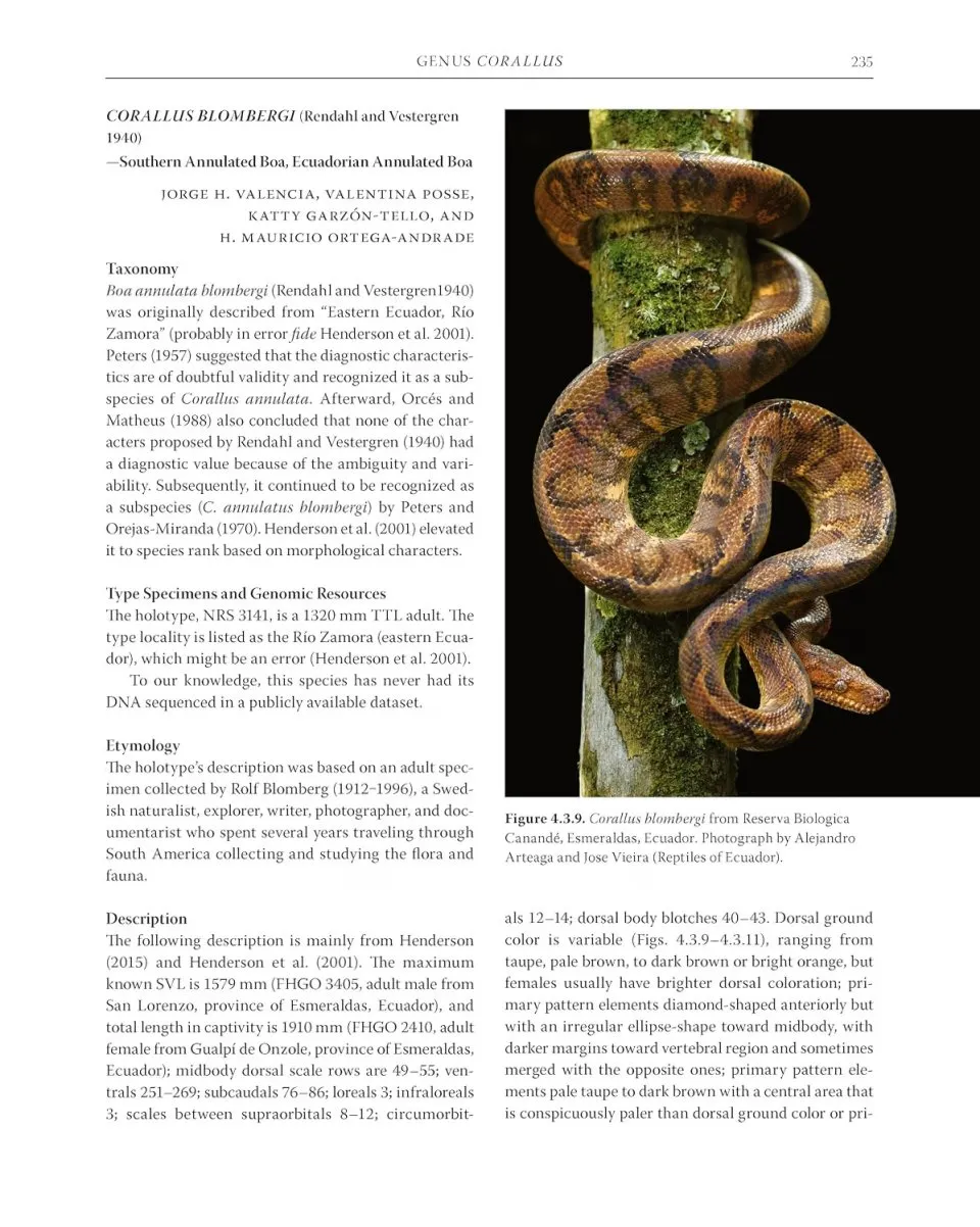 Boas of the World