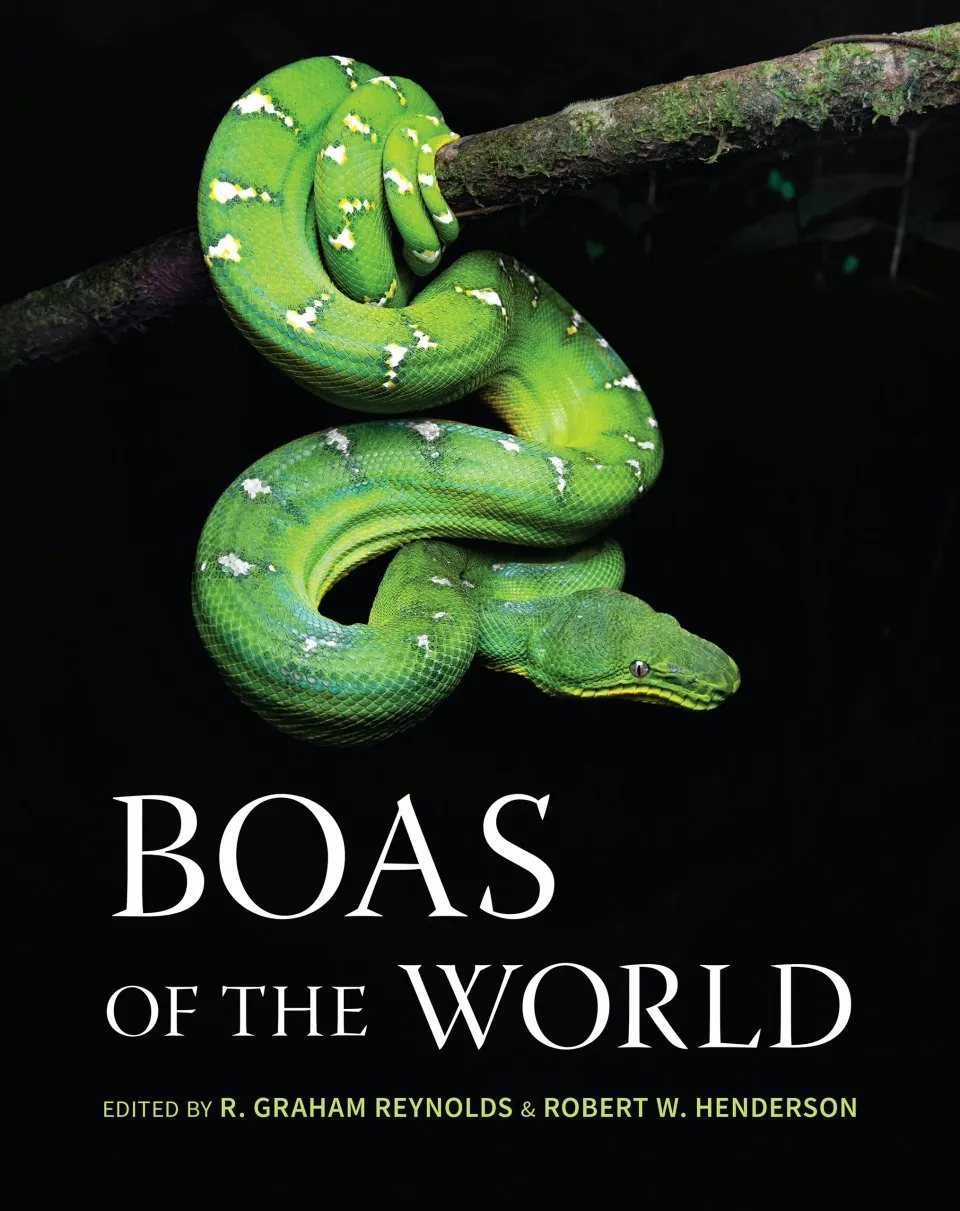 Boas of the World