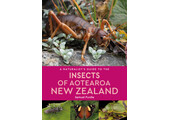 A Naturalist’s Guide to the Insects of Aotearoa New Zealand